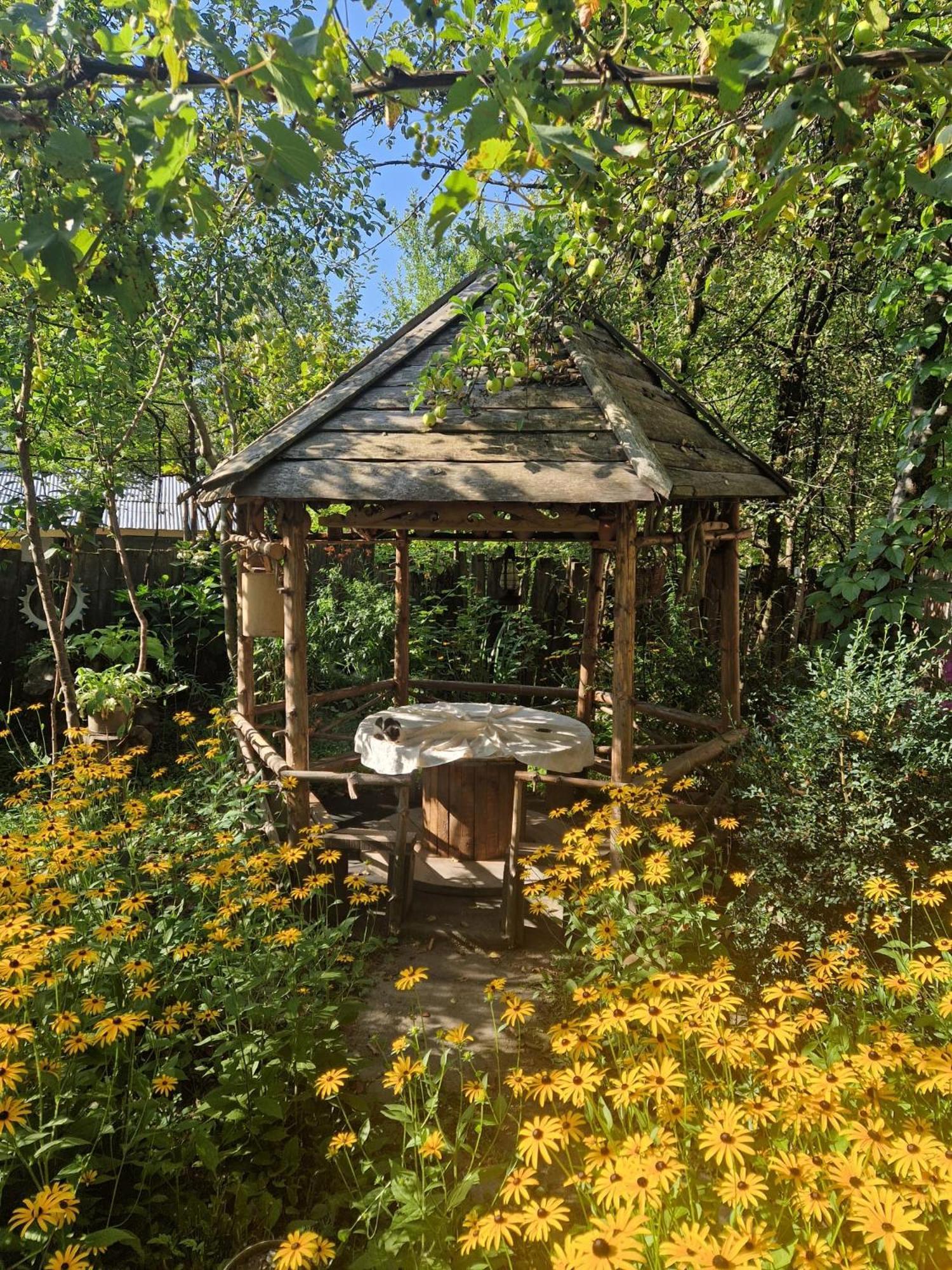Guest House "Svaneti" Lentekhi Dış mekan fotoğraf