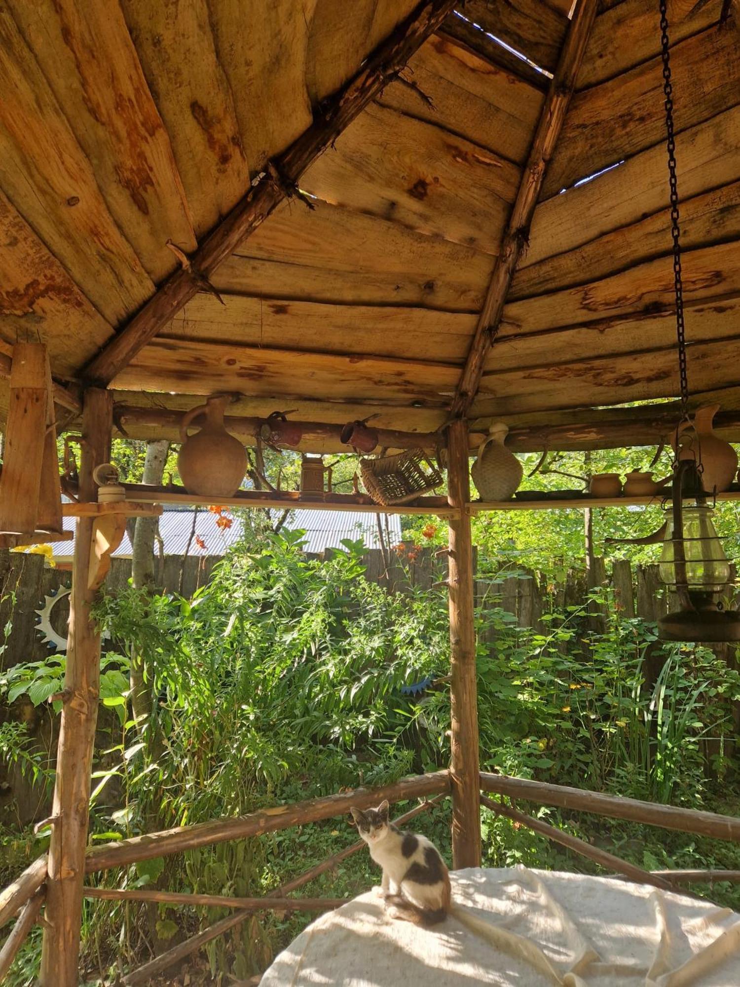 Guest House "Svaneti" Lentekhi Dış mekan fotoğraf