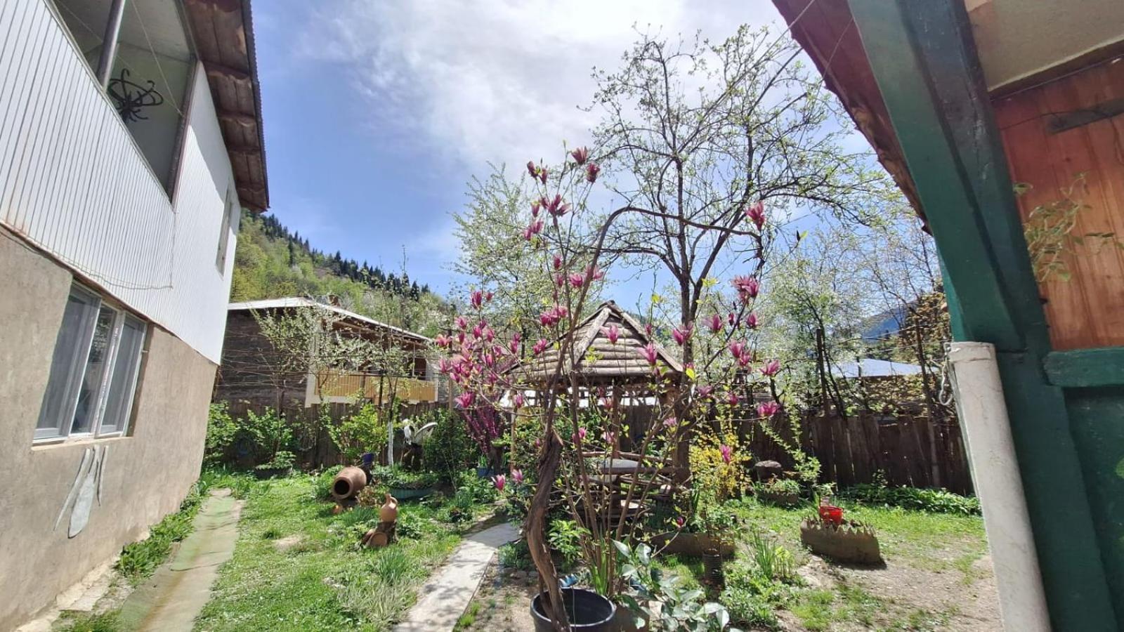 Guest House "Svaneti" Lentekhi Dış mekan fotoğraf