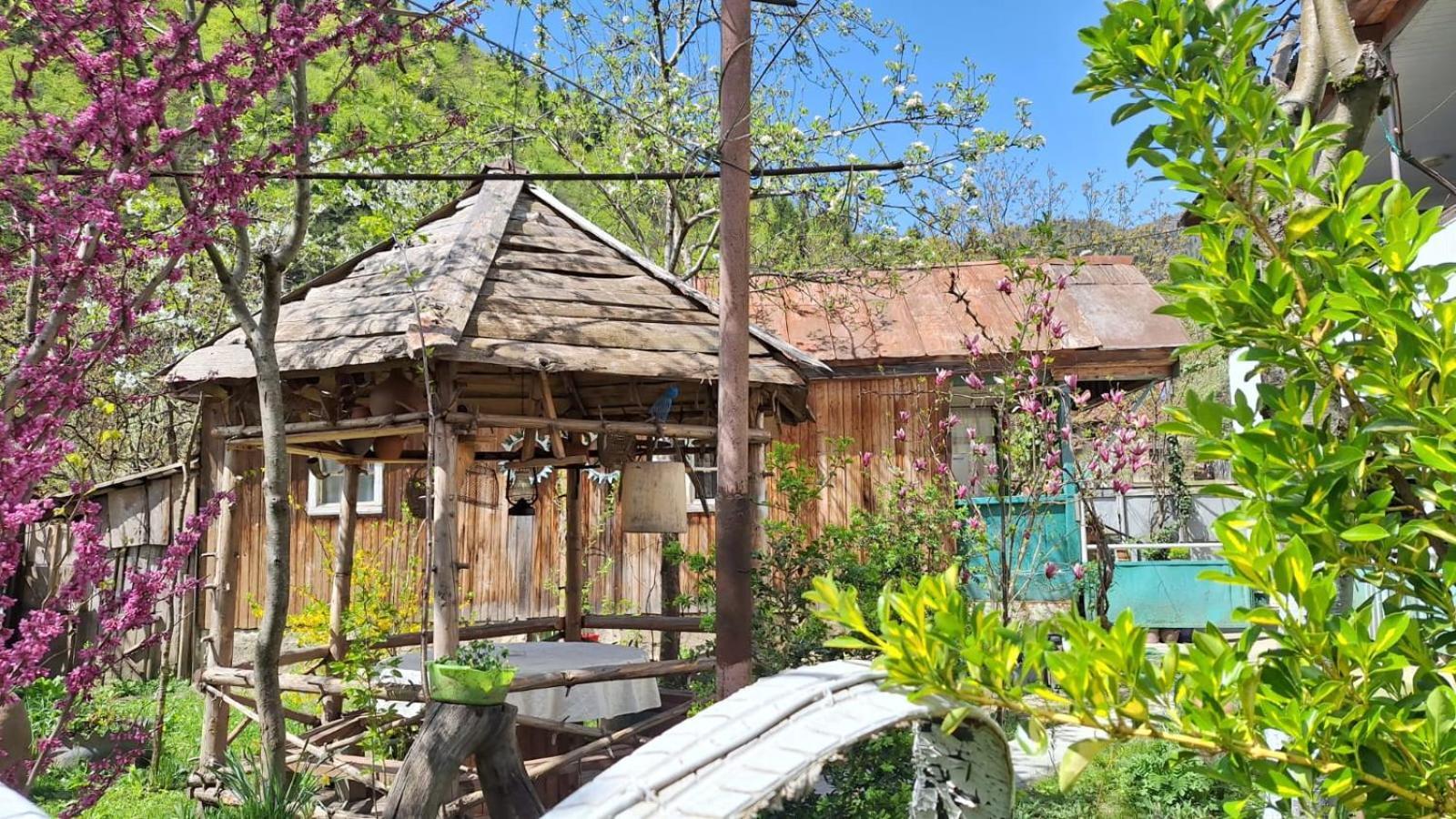 Guest House "Svaneti" Lentekhi Dış mekan fotoğraf