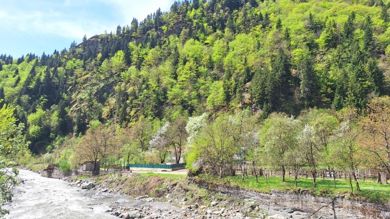 Guest House "Svaneti" Lentekhi Dış mekan fotoğraf