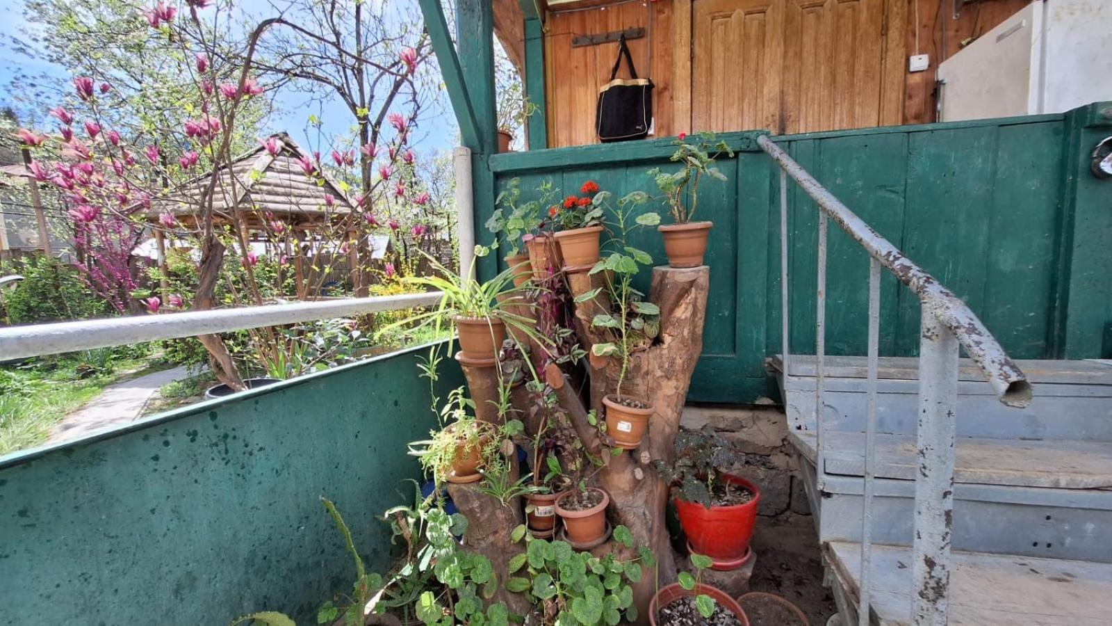 Guest House "Svaneti" Lentekhi Dış mekan fotoğraf