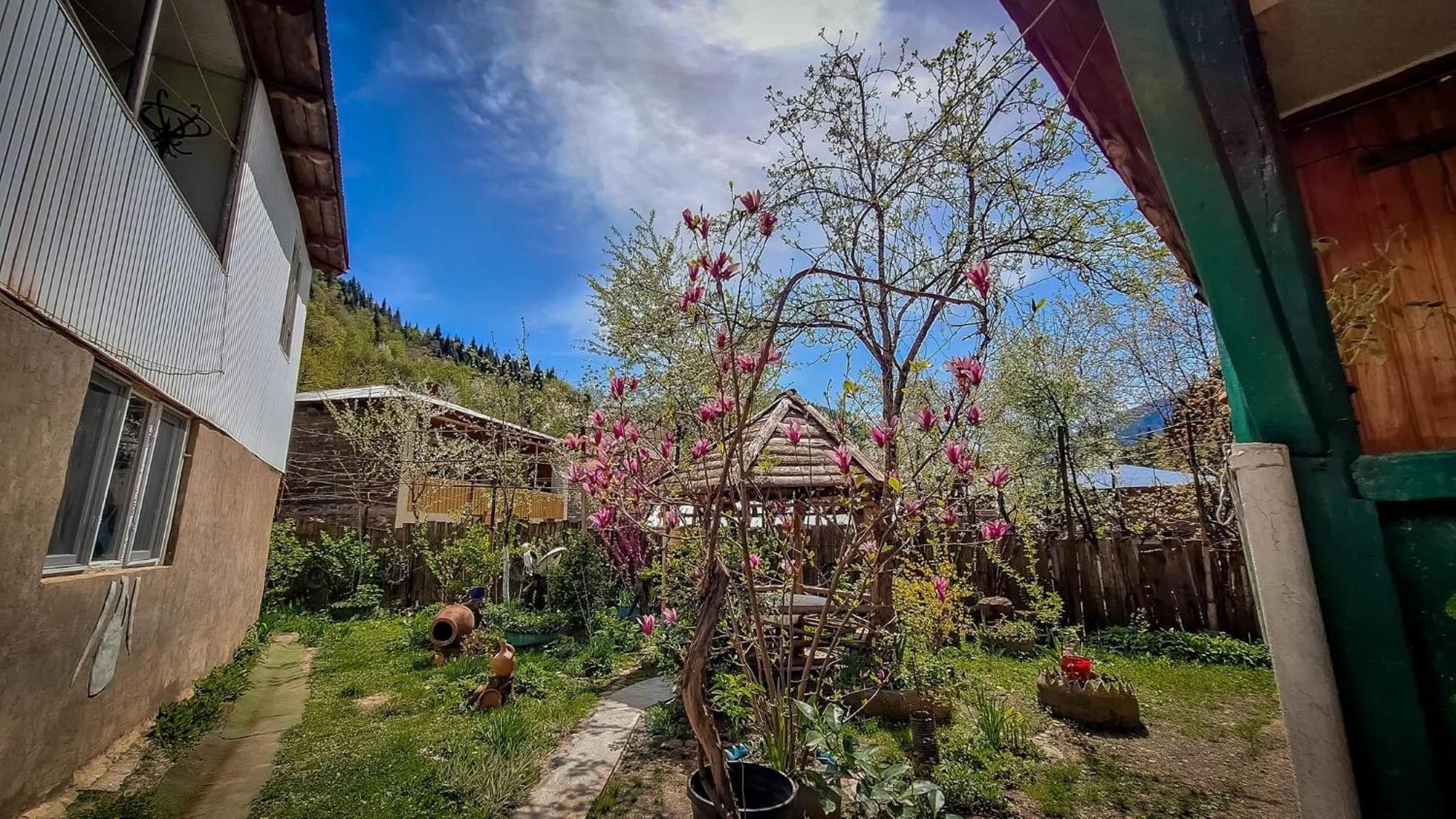 Guest House "Svaneti" Lentekhi Dış mekan fotoğraf