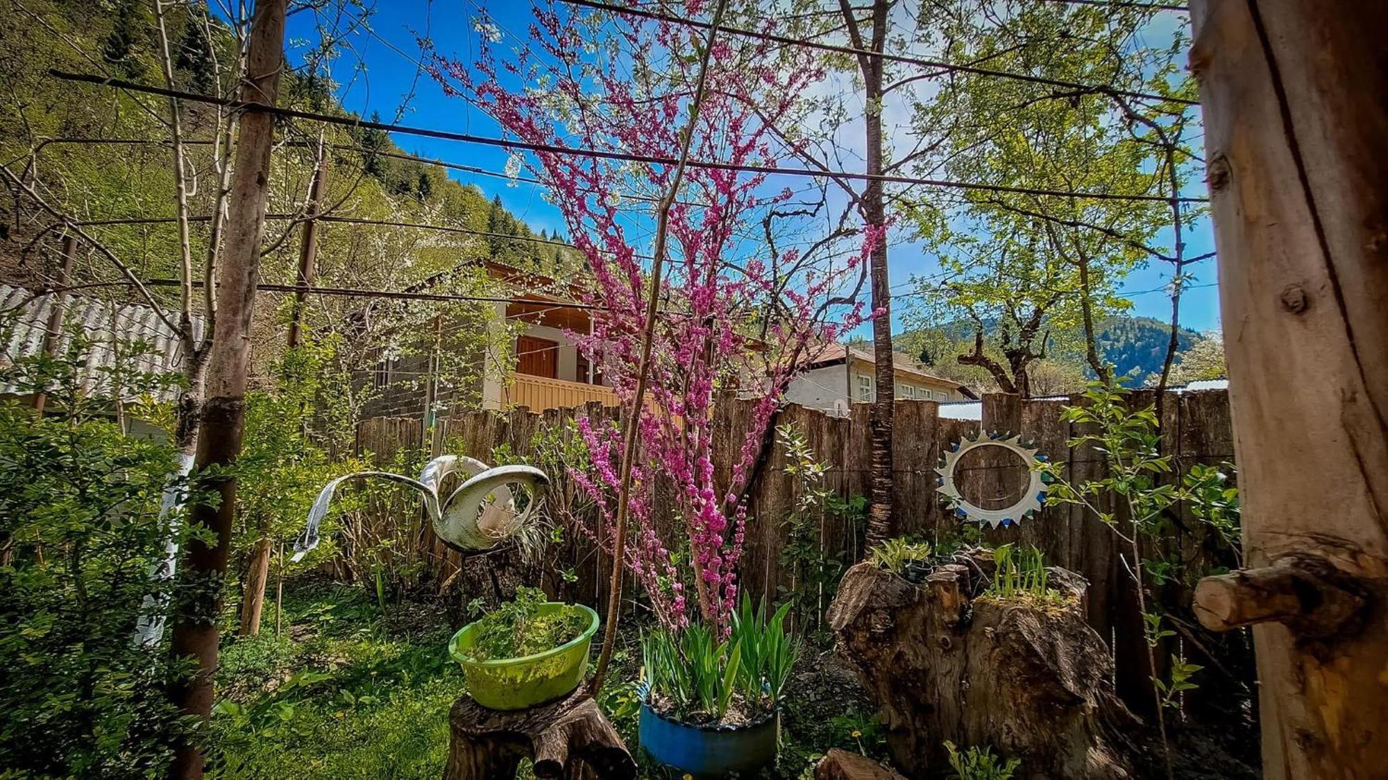 Guest House "Svaneti" Lentekhi Dış mekan fotoğraf